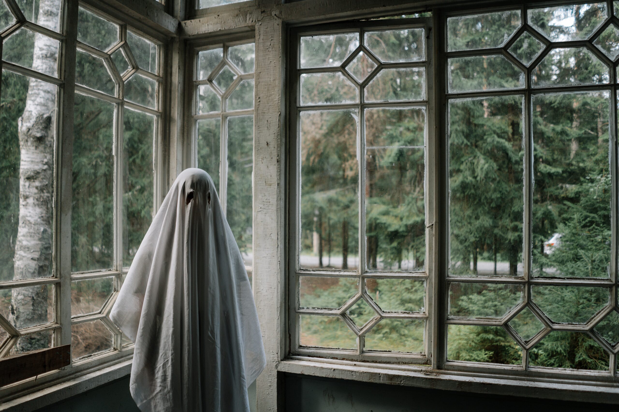 Auf dem Bild ist eine Person zu erkennen, die als Geist verkleidet ist. Diese steht in einem leeren Raum, vor einer Fensterfront. Durch die Fenster kann man einen Wald sehen.